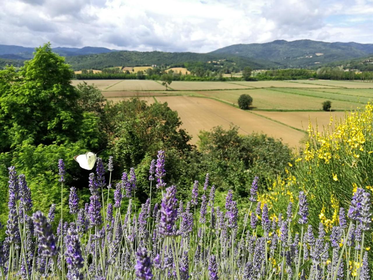 Casa Vacanze Villa Maria Anghiari Exteriör bild