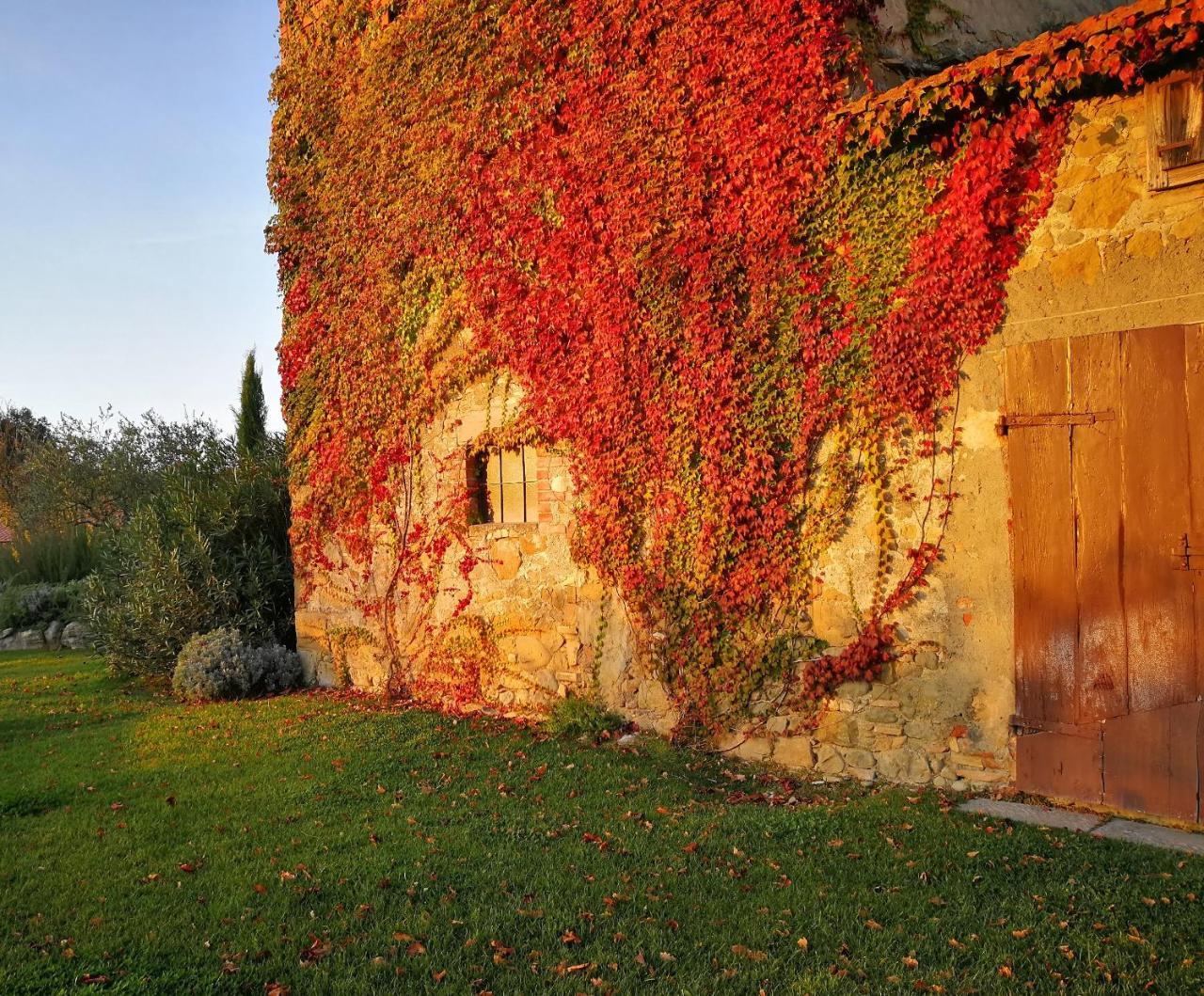 Casa Vacanze Villa Maria Anghiari Exteriör bild