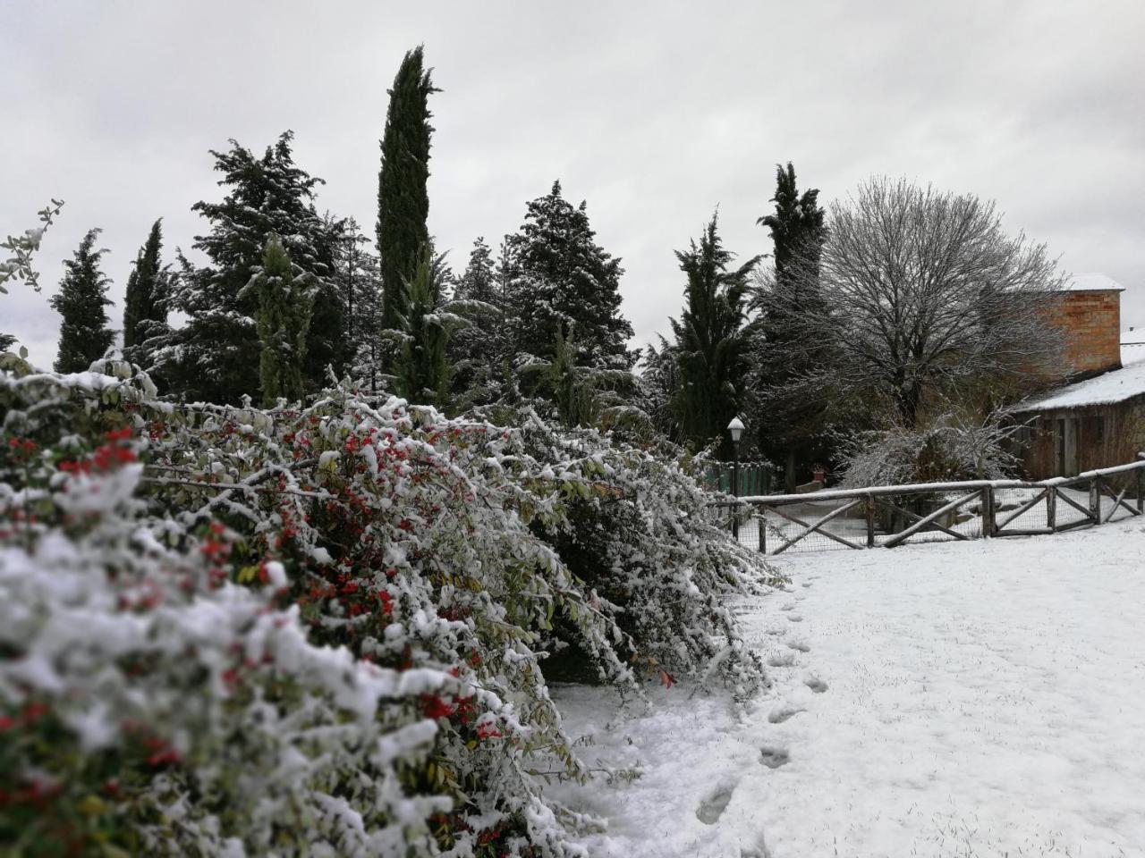 Casa Vacanze Villa Maria Anghiari Exteriör bild